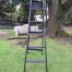 A 20th Century Painted Decorative Study / Library Ladder