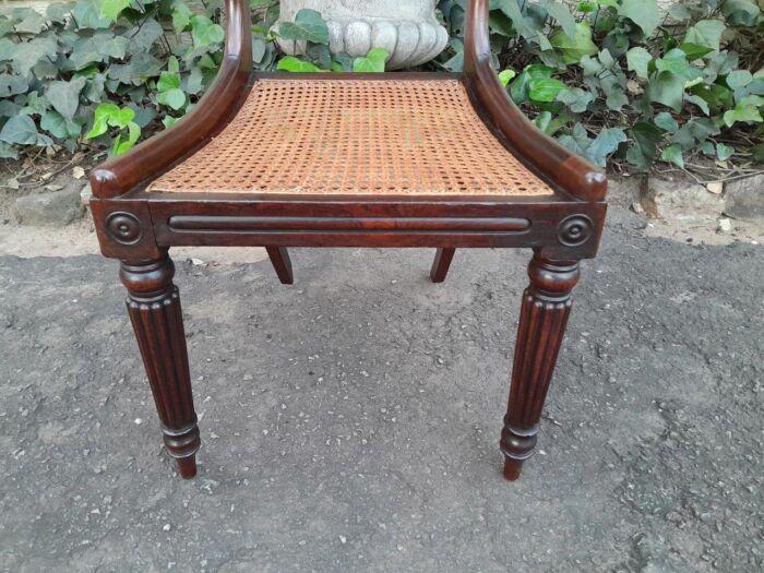 An Antique Regency Carved Rosewood Set Of Chairs With Rattan Seats And Upholstered Designer Fabric Drop In Seats - Image 7