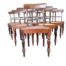 A 19th Century Set Of Ten Regency Style Cape Stinkwood Rattan Chairs