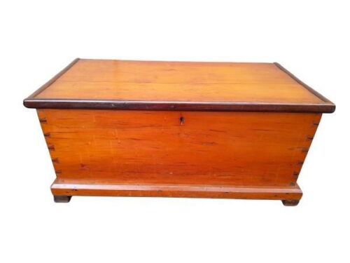 An Antique 19th Century Yellow Wood And Stink Wood Chest / Kist