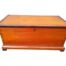 An Antique 19th Century Yellow Wood And Stink Wood Chest / Kist