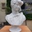 Concrete Female Bust - 20kg