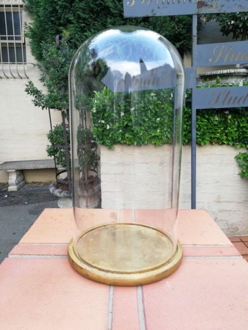 Extra Large Glass Cloche/Dome on Hand Gilded Wooden Bas