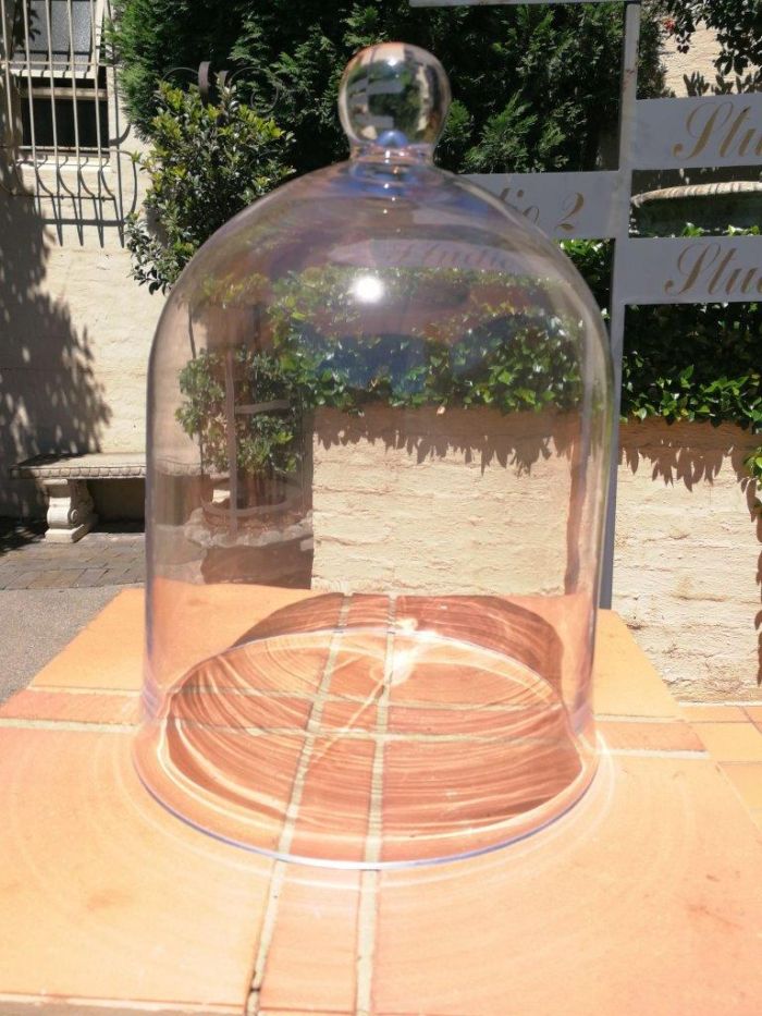 GLASS DOME Height 39