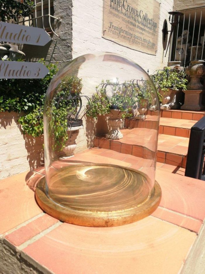 Glass Dome cloche with hand gilded wooden base - Image 2