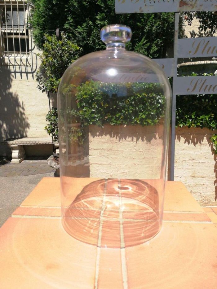 Glass Dome Height 32cm