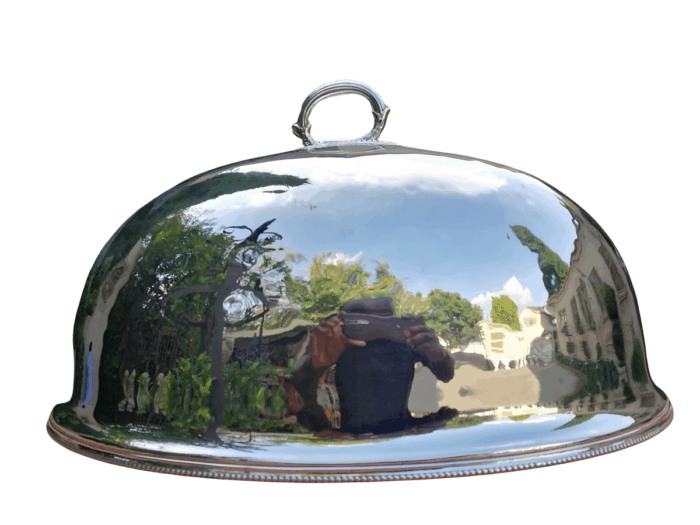 A Very Large Epns Food Dome