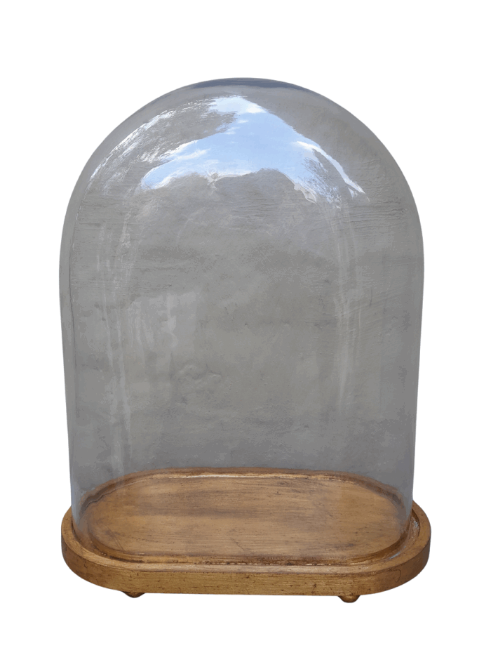An Extra Large Dome Cloche on a Hand Gilded Wooden Base with Feet