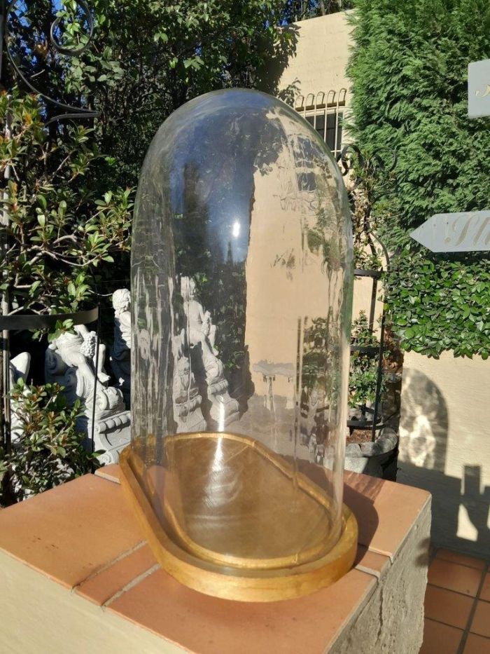 An Extra Large Dome Cloche on a Hand Gilded Wooden Base with Feet - Image 2
