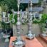 A Late 19th Century Pair Of French Rococo Style Silver Plate Candelabrum