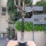 A 19th Century French Bronze And Granite Candelabra