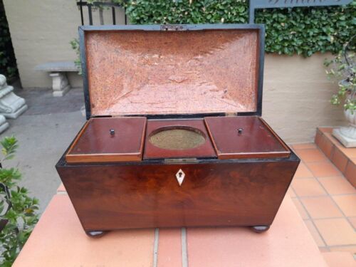 An antique 19th Century Mahogany Tea Caddy with Brass Lions Head Handles