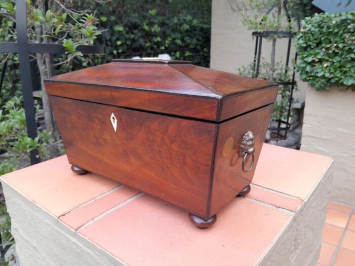 An antique 19th Century Mahogany Tea Caddy with Brass Lions Head Handles - Image 4