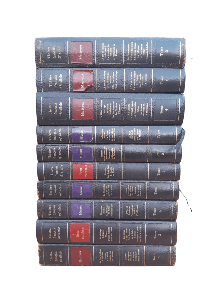 A 20th Century French Set Of Ten Leather Bound And Gilded Embossing Decorative Books
