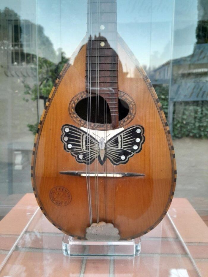 A 20TH Century Bouzouki in Perspex Display Box - Image 7