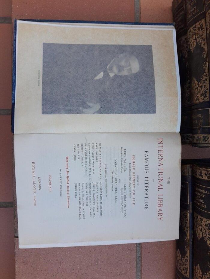 An Antique Collection of Twenty Books The International Library of Famous Literature - Image 5