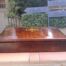 A 19th Century Writing Slope with Pearl Inlay